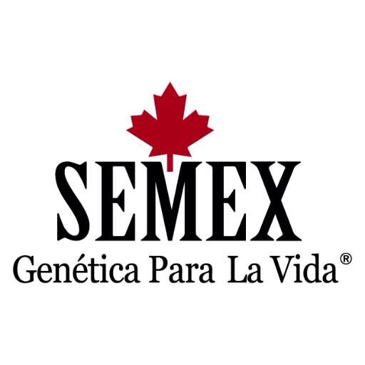 VENTA DE SEMEN